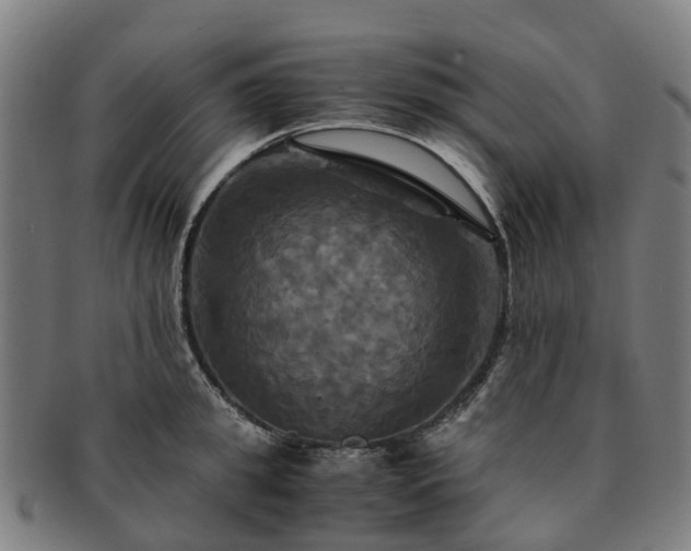 X0000091710949200708311113