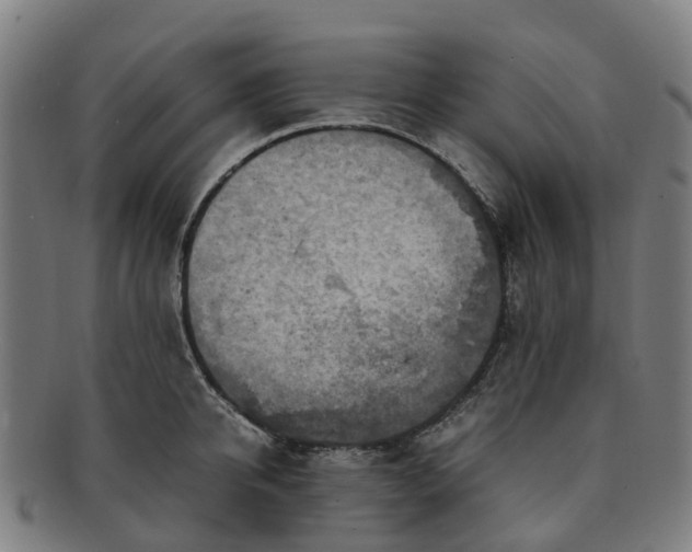 X0000091710950200708311113