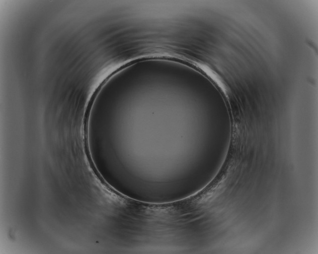 X0000091710951200708311113