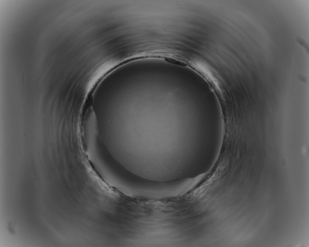 X0000091710952200708311113