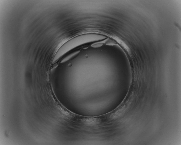 X0000091710953200708311113