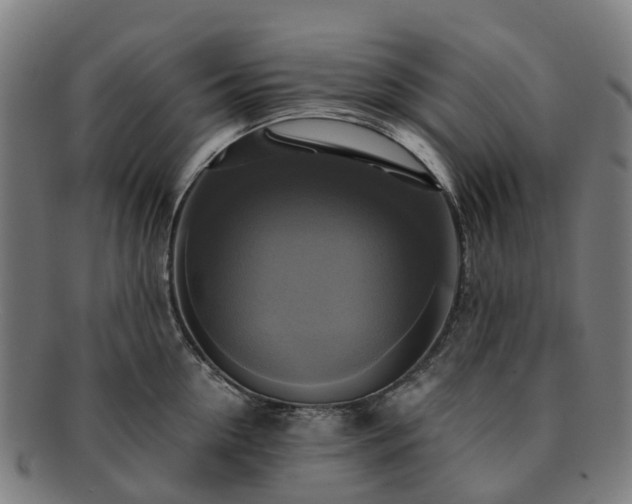 X0000091710954200708311113