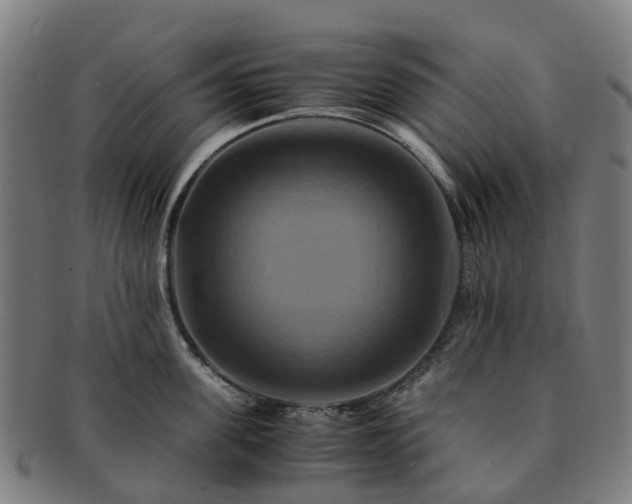 X0000091710955200708311113