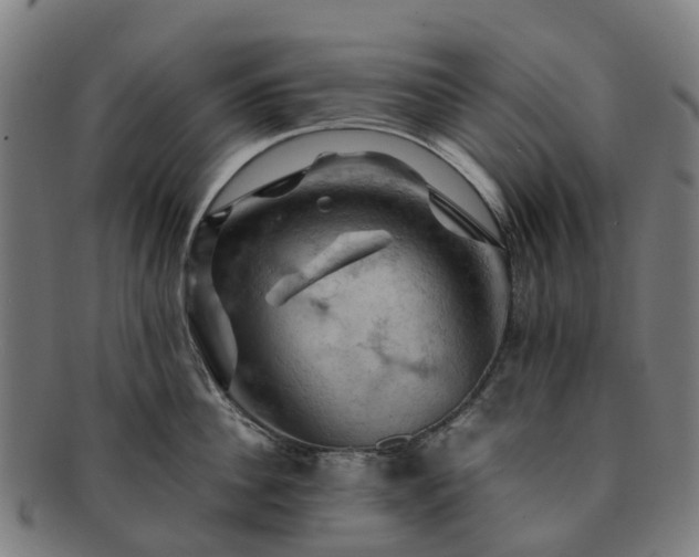 X0000091710956200708311113