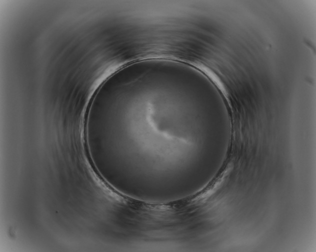 X0000091710957200708311113