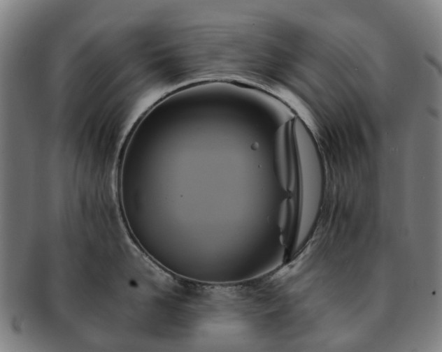 X0000091710958200708311113