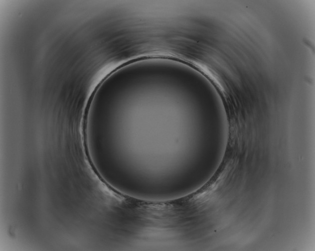 X0000091710959200708311113