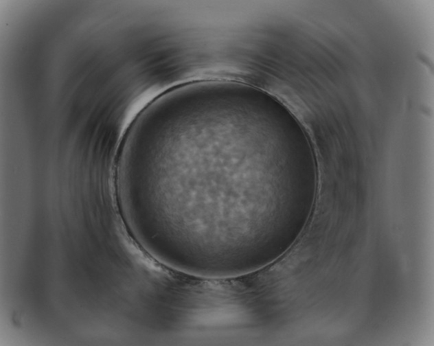 X0000091710960200708311113