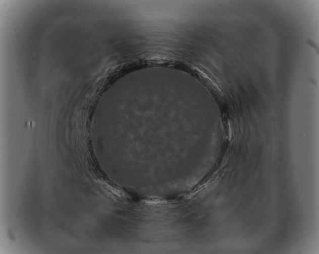 X0000091710961200708311112