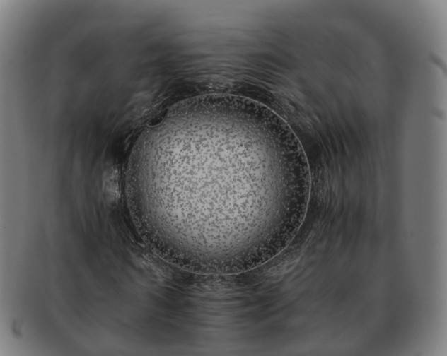 X0000091710962200708311112