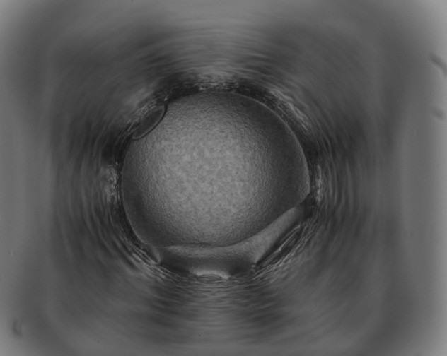 X0000091710964200708311112