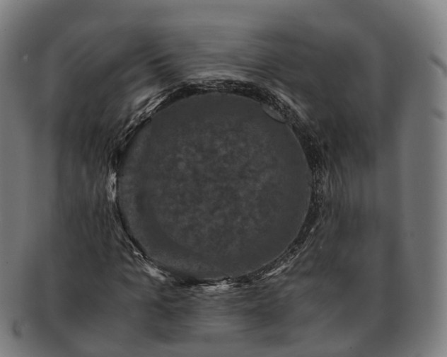 X0000091710965200708311112