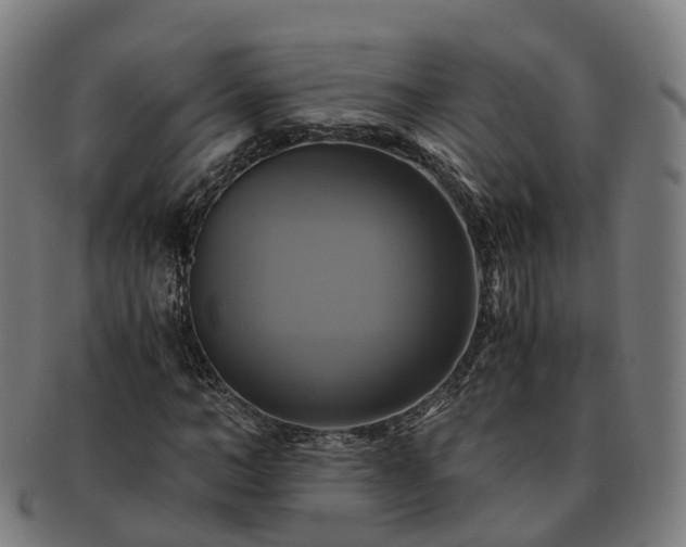 X0000091710966200708311112