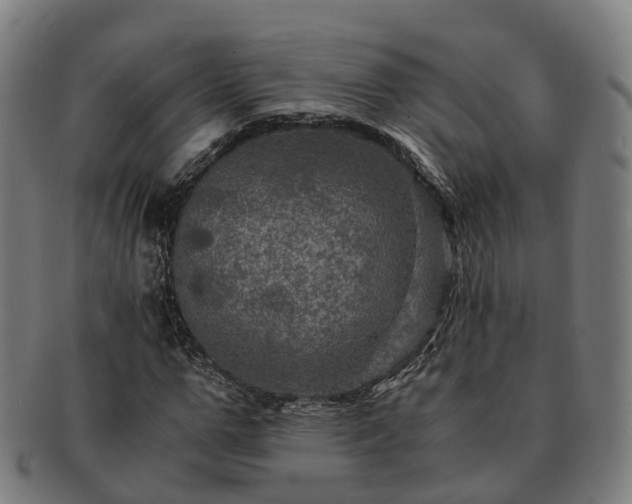 X0000091710967200708311112