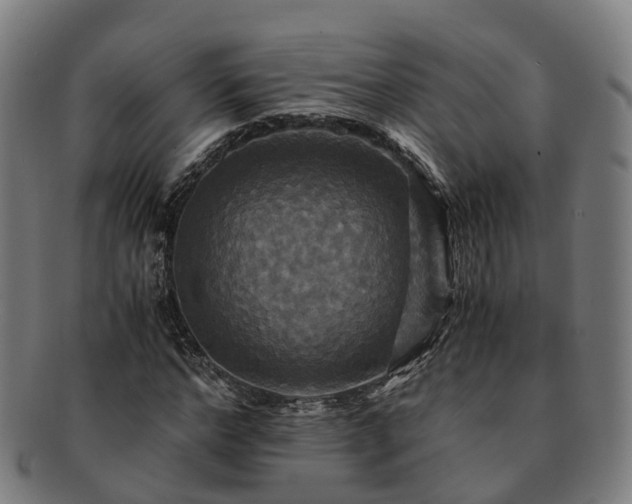 X0000091710968200708311112