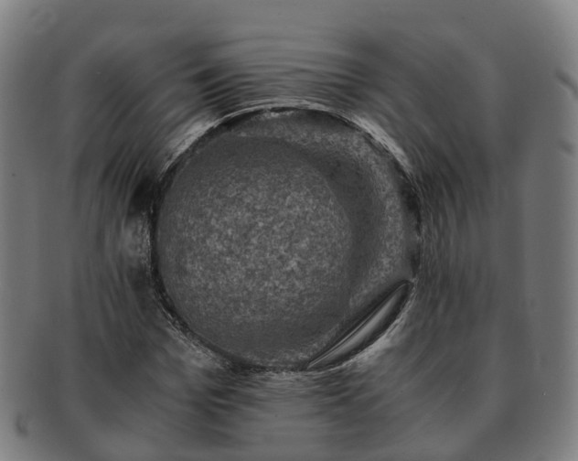 X0000091710969200708311112