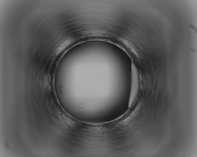 X0000091710970200708311112