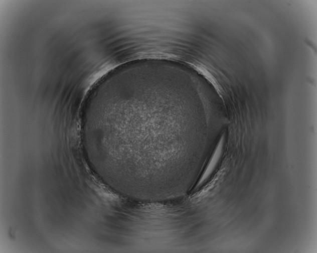 X0000091710971200708311112