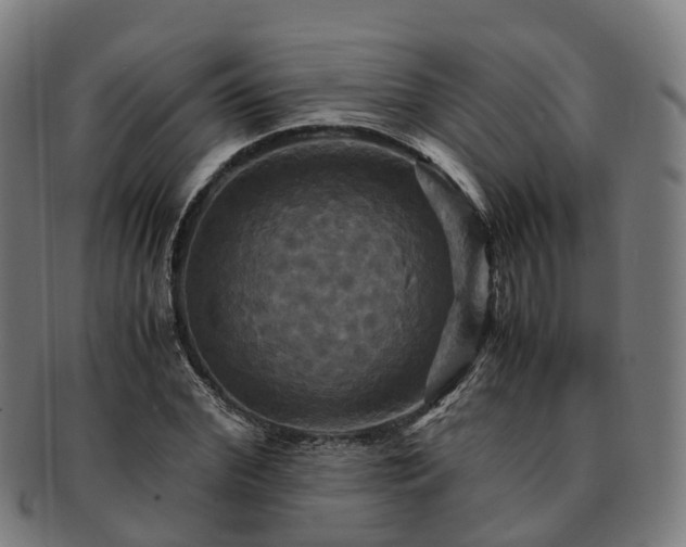 X0000091710972200708311112