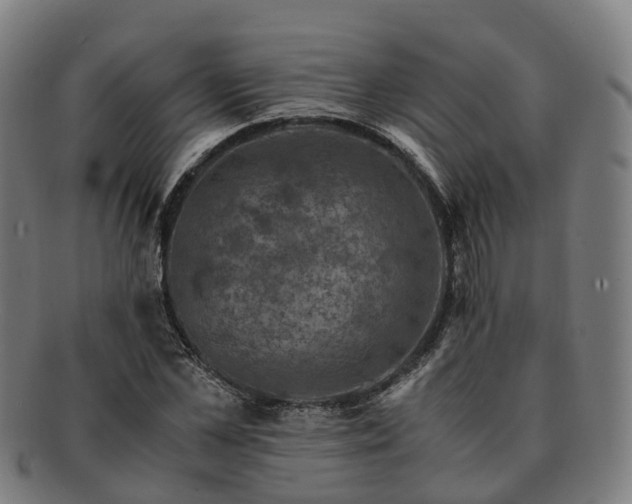 X0000091710973200708311112