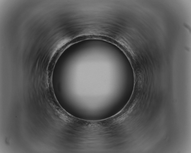 X0000091710974200708311112