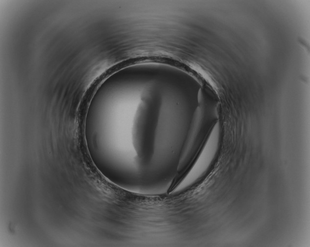 X0000091710975200708311112