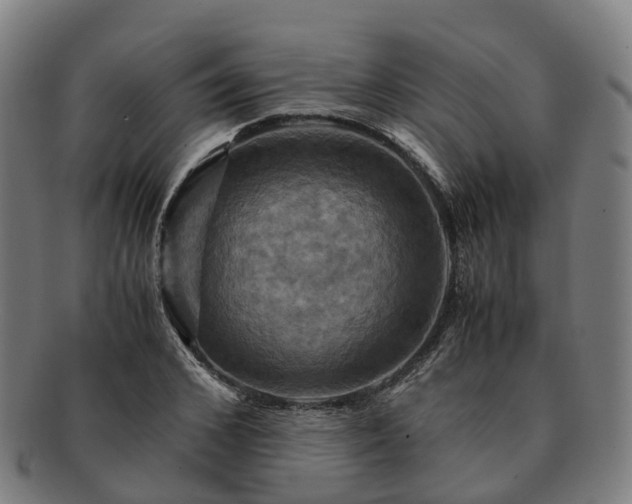 X0000091710976200708311112