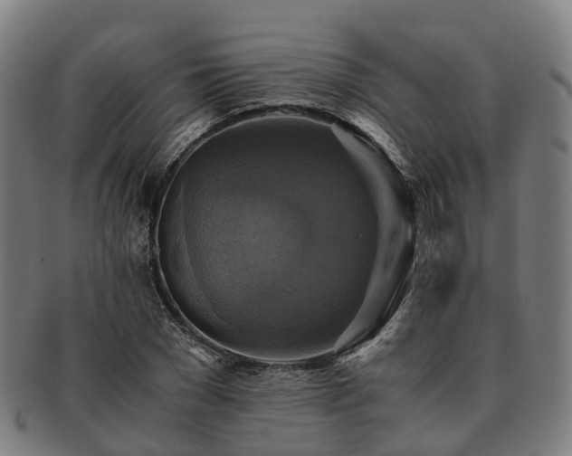 X0000091710977200708311112