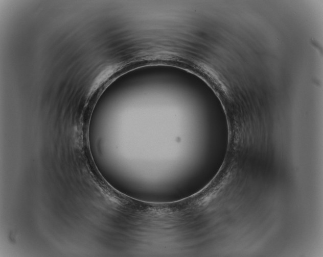 X0000091710978200708311112