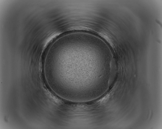 X0000091710979200708311112