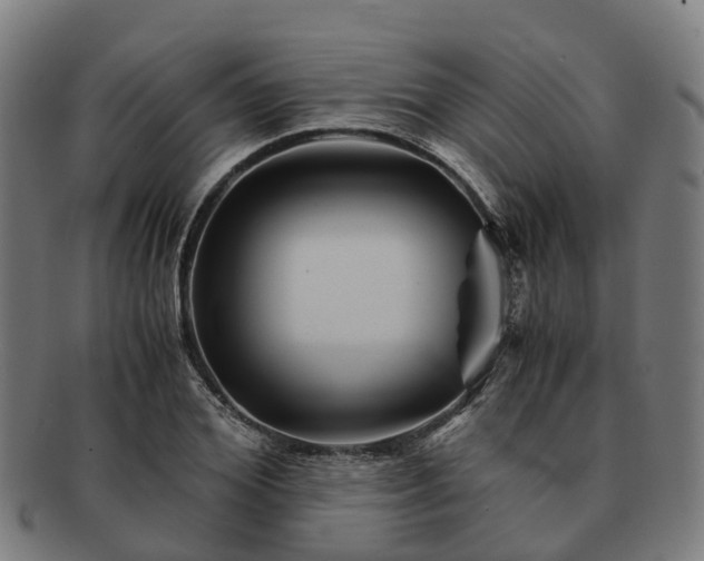 X0000091710980200708311112