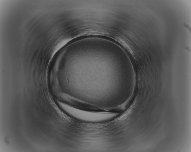 X0000091710981200708311112