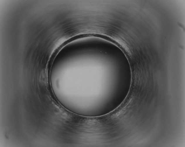 X0000091710982200708311112