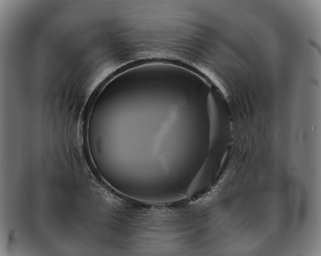 X0000091710983200708311112