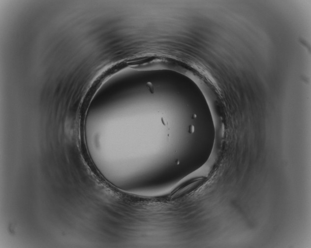 X0000091710984200708311112