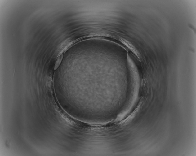 X0000091710985200708311112