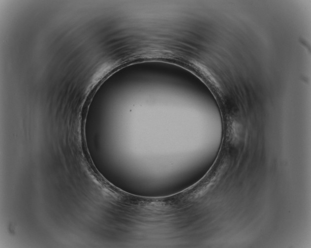 X0000091710986200708311112