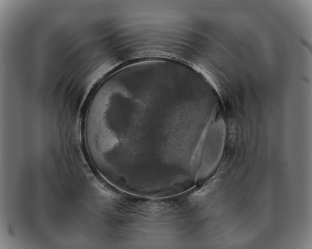 X0000091710987200708311112