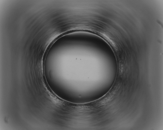 X0000091710988200708311112