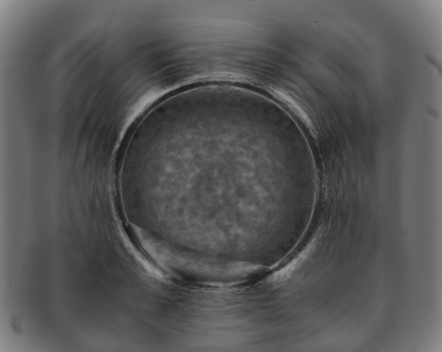 X0000091710989200708311112