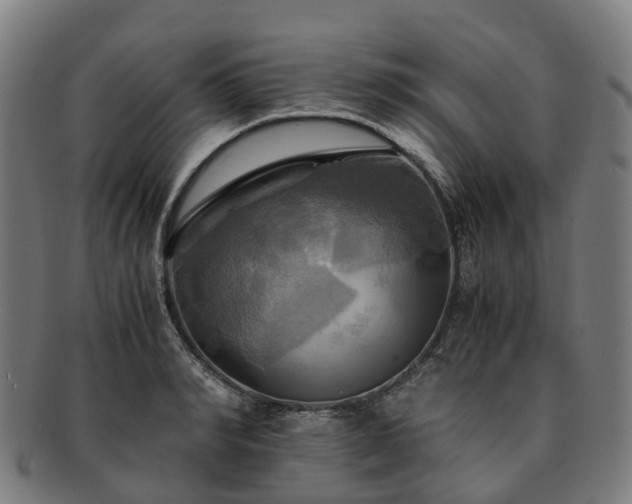 X0000091710990200708311112