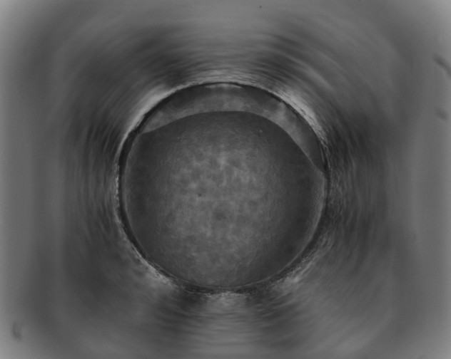 X0000091710992200708311112