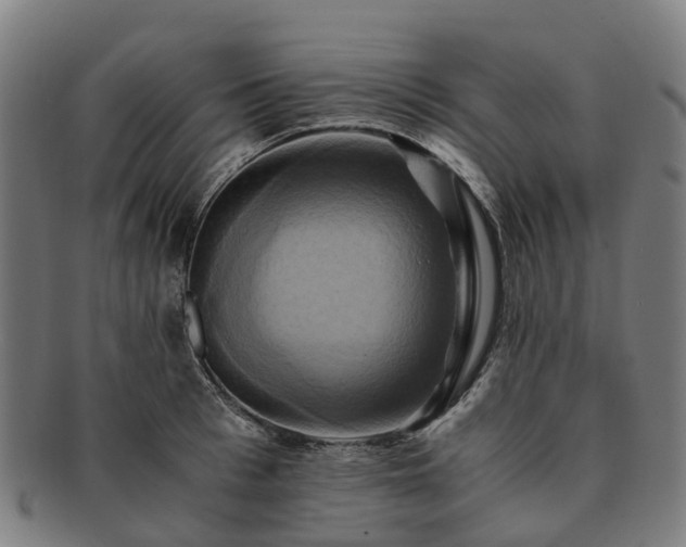 X0000091710993200708311112