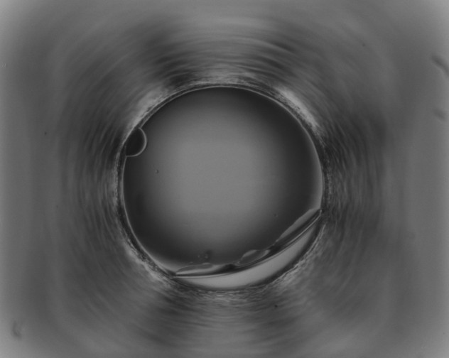 X0000091710994200708311112