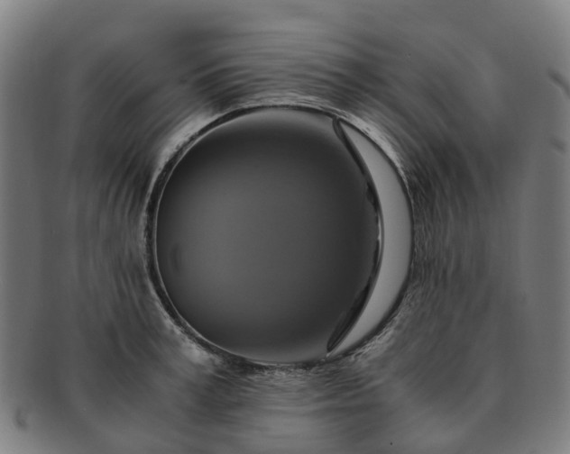 X0000091710995200708311112