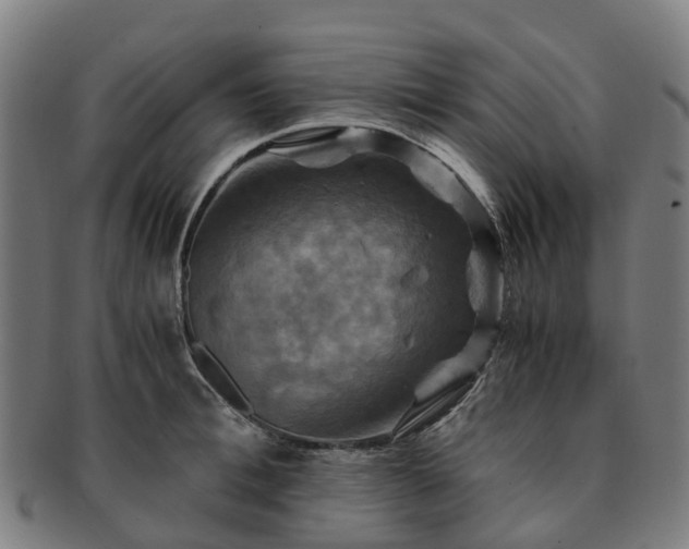 X0000091710996200708311112