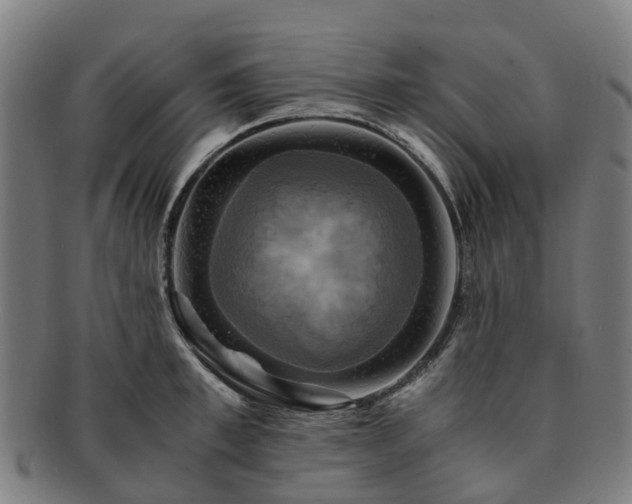 X0000091710997200708311112