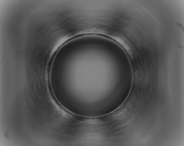 X0000091710998200708311112