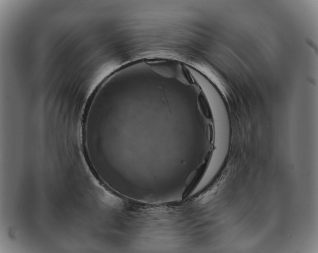 X0000091710999200708311112