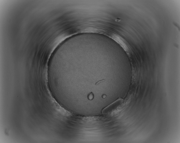 X0000091711000200708311112